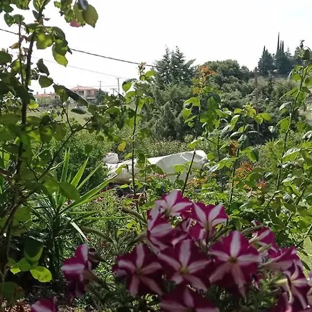 Nouli's Mountain View Haven *