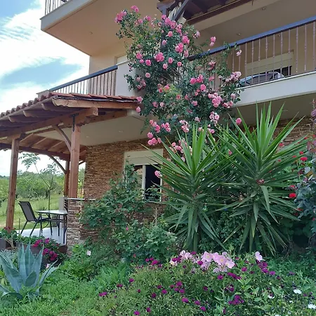 Nouli's Mountain View Haven *