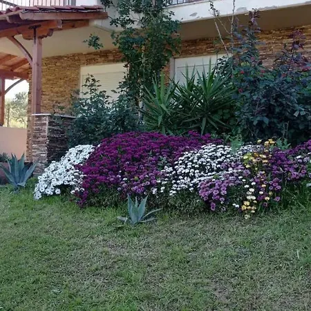 Nouli's Mountain View Haven *