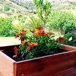 Nouli's Mountain View Haven