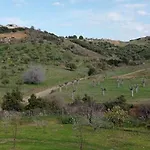 Nouli's Mountain View Haven Nikiti (Sithonia)