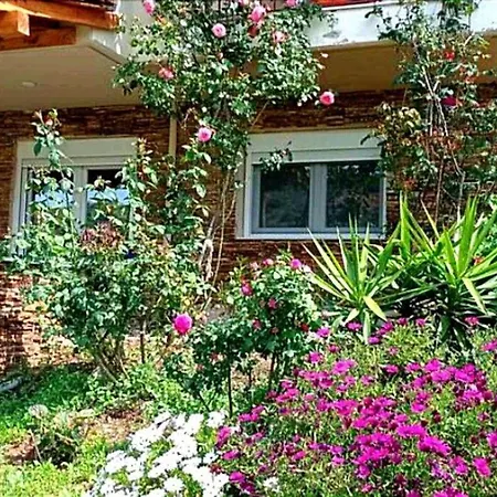 Nouli's Mountain View Haven * Nikiti (Sithonia)