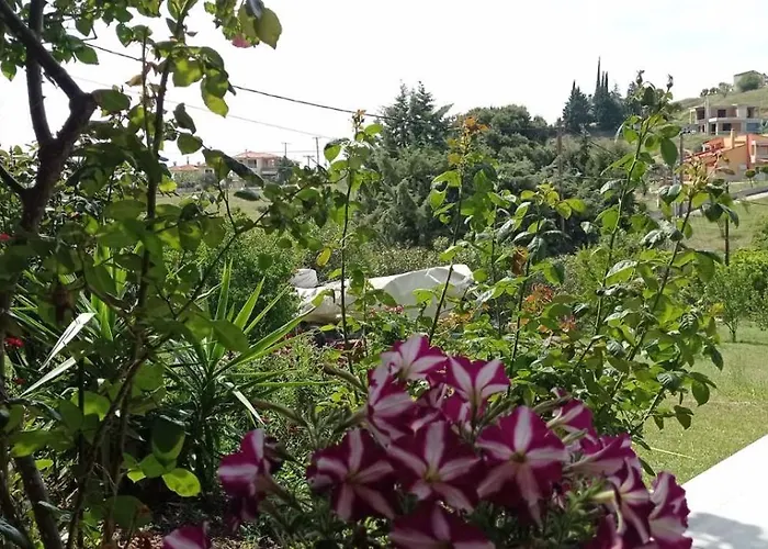 Nouli's Mountain View Haven *