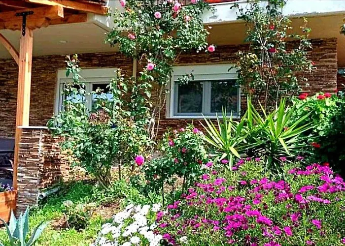 Nouli's Mountain View Haven * Nikiti (Sithonia)